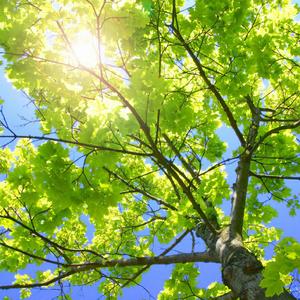 夸克夫妻营免费观看电视剧
